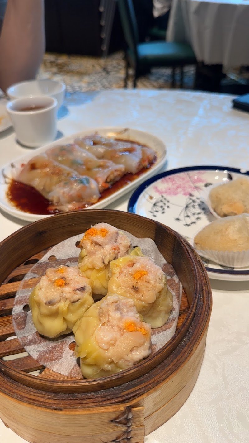 The Panda Yum Cha photo 10