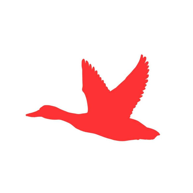 Duck in Heaven Thirroul photo 6